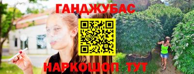 тгк Новокубанск