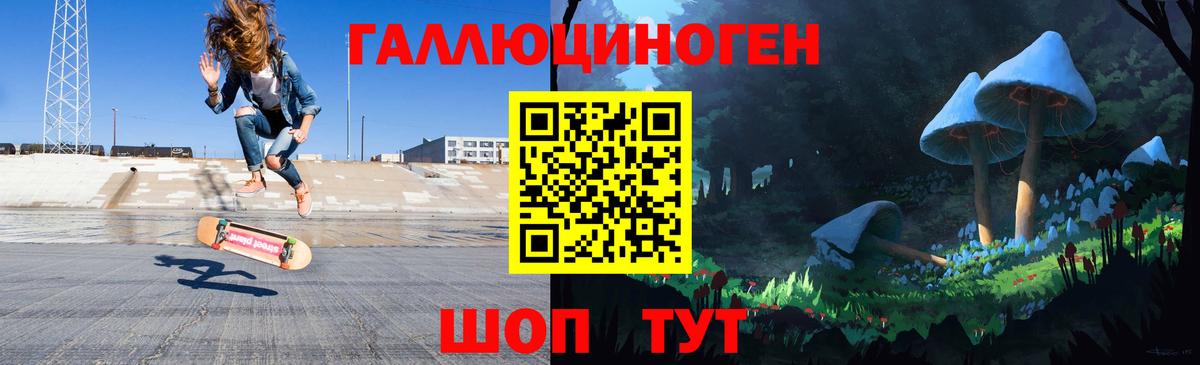 Тверь  Псилоцибиновые грибы Psilocybine cubensis  Вход с VPN 